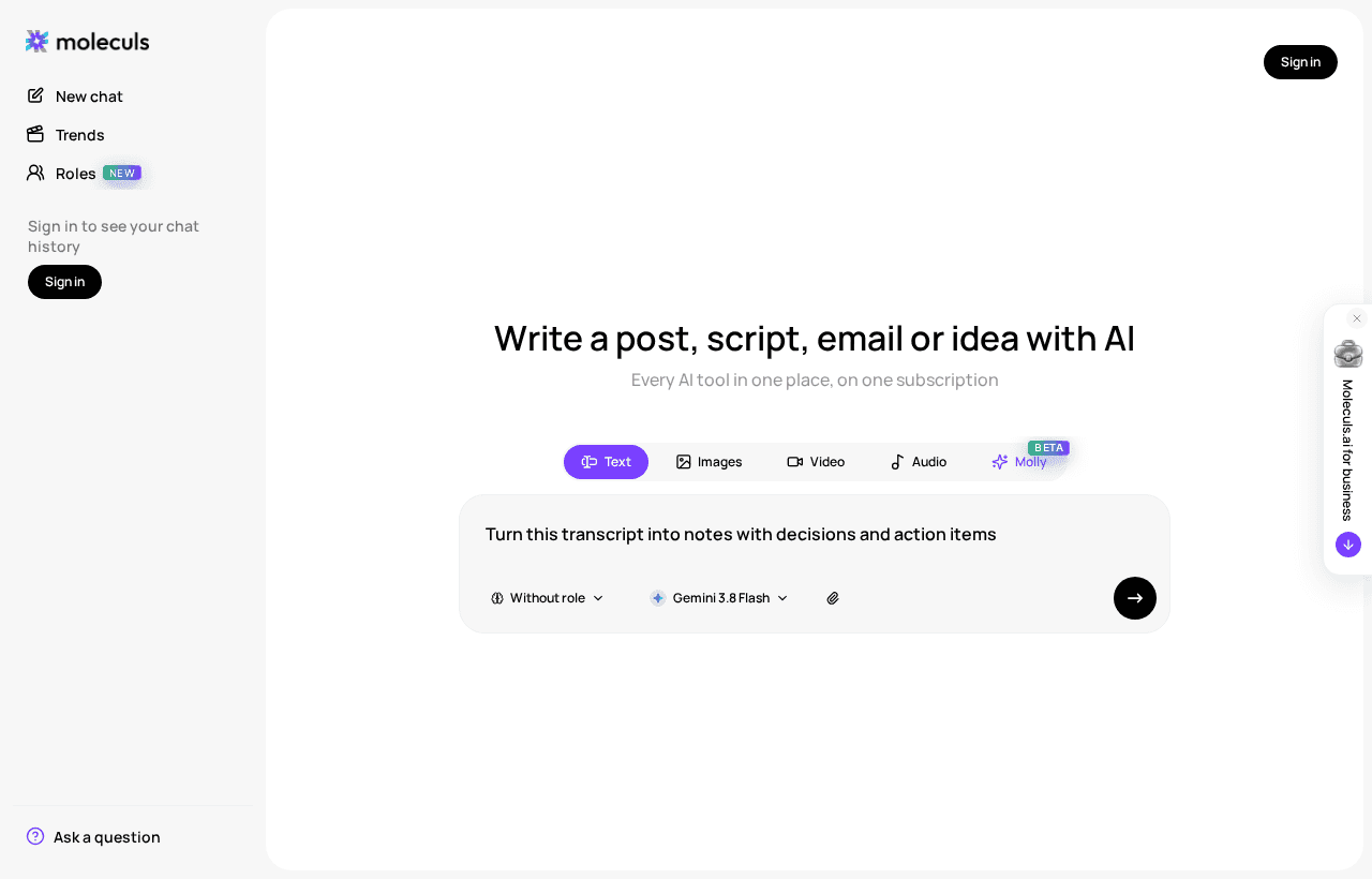 A request to turn a transcript into notes with decisions and action items