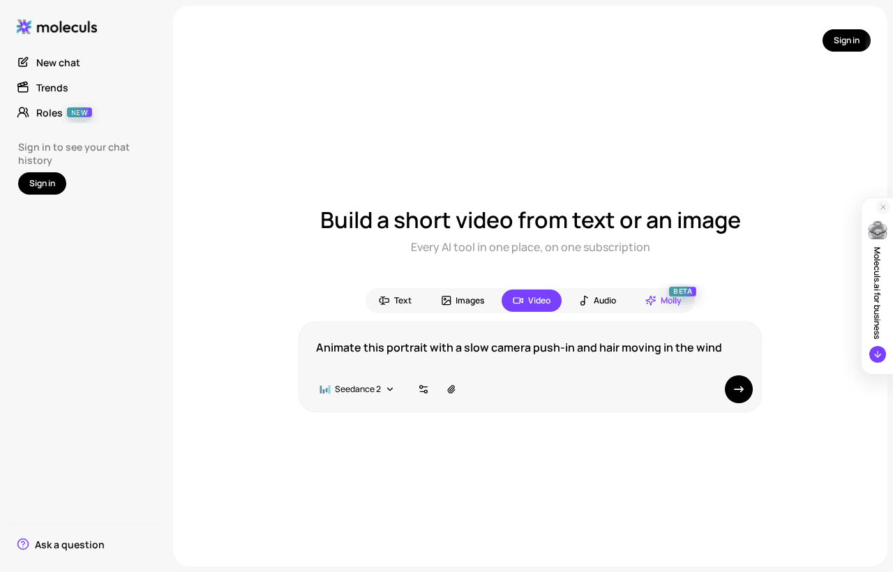 The input field with an uploaded photo and a motion description, right before the video model runs