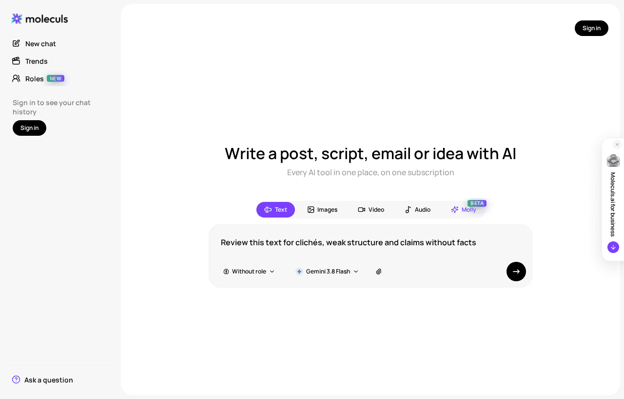Input field with the review prompt and the name of the selected text model