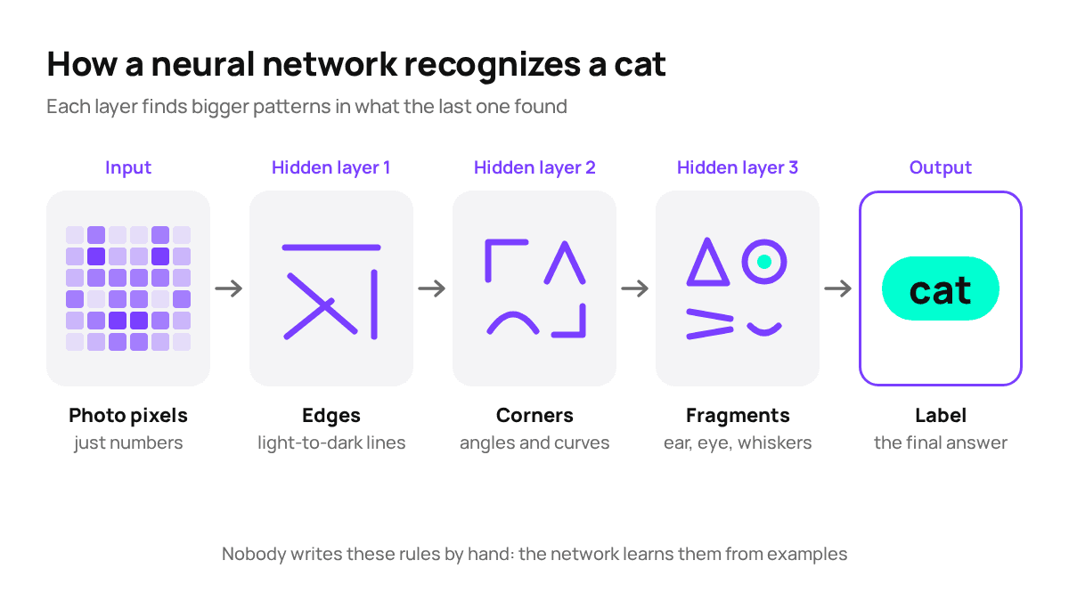 How features get more complex from layer to layer