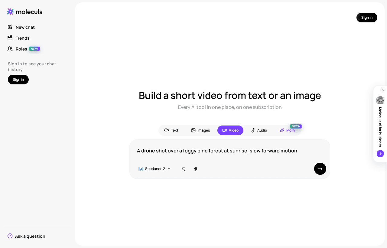 The video tab with a scene description ready to run
