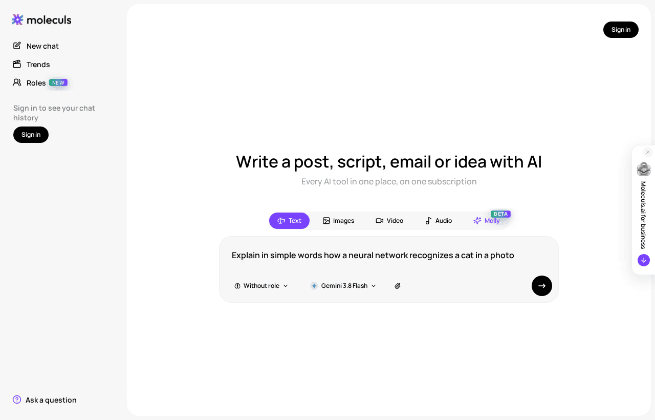 A ready prompt in the input field before you run it